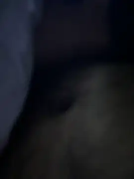 sukebegorilla online show from November 24, 2025, 5:13 pm