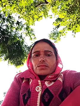 Jalebi bay online show from November 8, 2025, 2:15 am