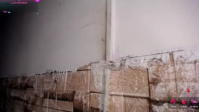 Bicky 24 online show from March 18, 2026, 9:01 am