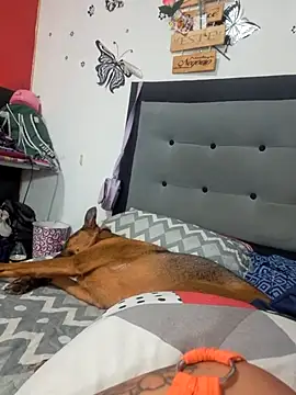 anythompsom online show from November 11, 2025, 8:14 pm