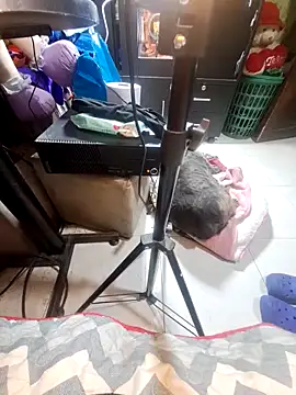 anythompsom online show from November 10, 2025, 11:21 pm