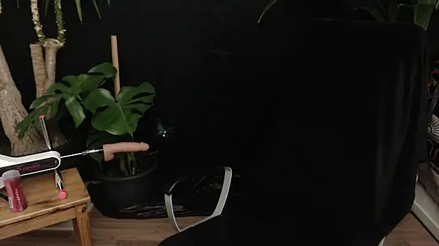 lola skyxh online show from November 10, 2025, 11:10 pm