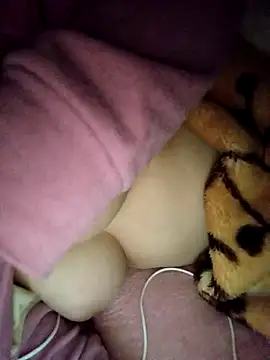 CHahed-5 online show from November 23, 2025, 3:38 am