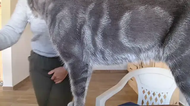 Missforever online show from March 23, 2026, 4:51 pm