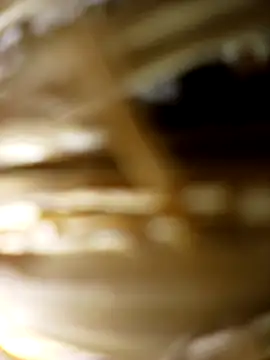 panchosativo online show from October 31, 2025, 2:52 am