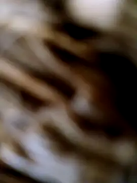 panchosativo online show from October 25, 2025, 1:56 pm