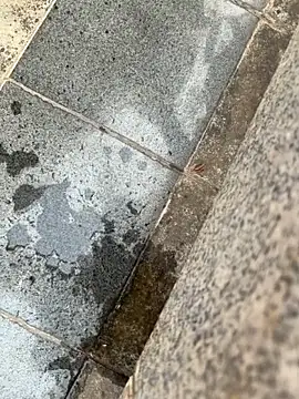 wemroudeyu online show from April 30, 2026, 10:00 am