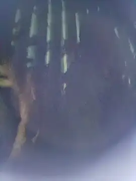 8133vaibhavh online show from October 9, 2025, 2:50 pm