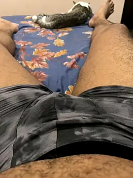 cookie-n-cream online show from October 26, 2025, 7:36 pm