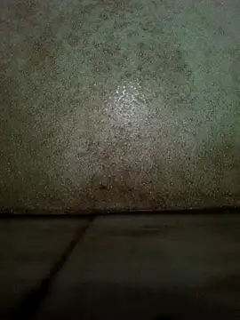 Snapshot of theindianjason chatting on October 1, 2025, 1:55 am theindianjason online show from October 1, 2025, 1:55 am