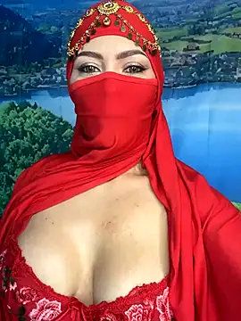 Snapshot of _hafsa_ chatting on November 22, 2025, 11:31 am hafsa online show from November 22, 2025, 11:31 am