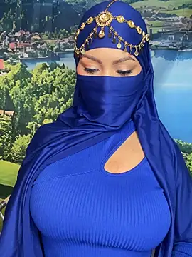 Snapshot of _hafsa_ chatting on November 8, 2025, 11:25 am hafsa online show from November 8, 2025, 11:25 am