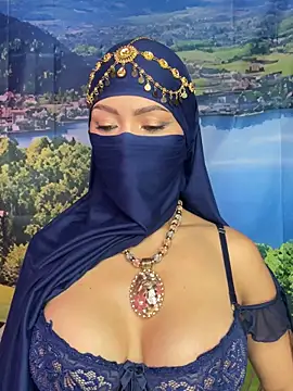 Snapshot of _hafsa_ chatting on November 11, 2025, 11:16 am hafsa online show from November 11, 2025, 11:16 am