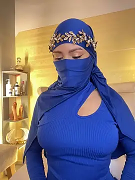 Snapshot of _hafsa_ chatting on October 3, 2025, 10:17 am hafsa online show from October 3, 2025, 10:17 am