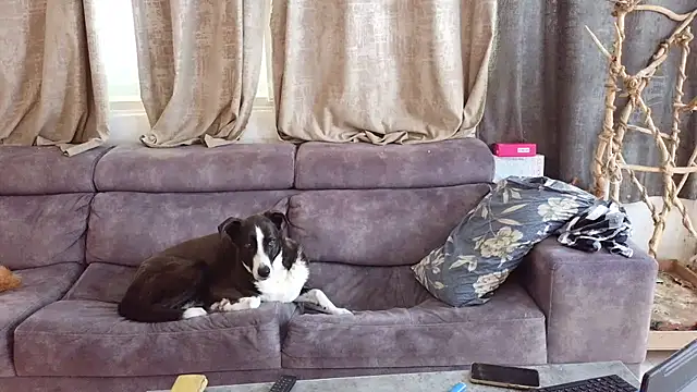 Snapshot of Alexis21821 chatting on February 27, 2026, 8:14 am Alexis21821 online show from February 27, 2026, 8:14 am