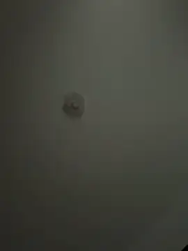 Andrestarr online show from April 2, 2026, 2:02 pm