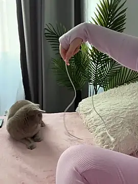 Andrestarr online show from March 14, 2026, 2:56 pm