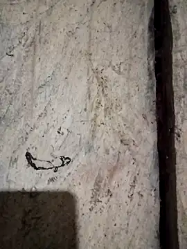 bonnie-00 online show from November 6, 2025, 10:58 pm