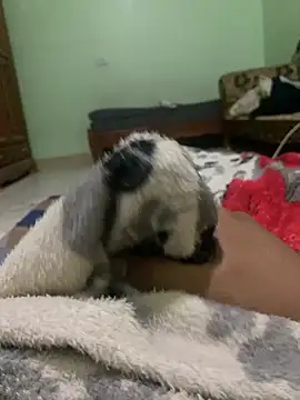 ali  ali210 online show from October 3, 2025, 1:23 pm