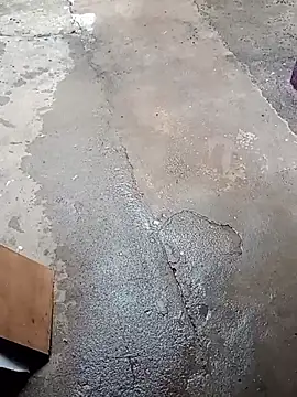 Cachorrinha2025 online show from November 17, 2025, 6:45 pm