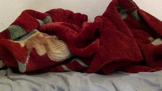 Kwasi-a online show from March 29, 2026, 4:08 pm