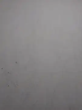 sweet bella16 online show from November 2, 2025, 7:46 am