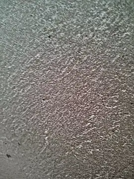 bold guy 1234 online show from March 30, 2026, 6:04 am