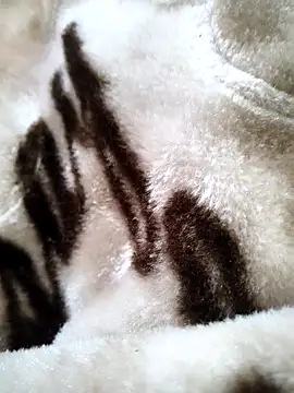 bold guy 1234 online show from December 17, 2025, 5:34 am