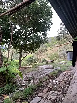 sky-wolves online show from October 2, 2025, 10:57 pm