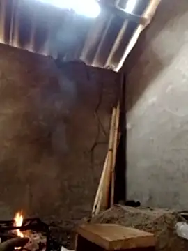 donna-bae online show from March 13, 2026, 4:28 am