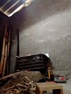 donna-bae online show from February 4, 2026, 3:34 am