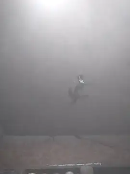 Hott cutgirl online show from November 15, 2025, 4:00 pm