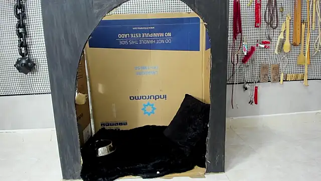 Snapshot of BDSM_MEDUZA chatting on February 5, 2026, 11:28 am BDSM MEDUZA online show from February 5, 2026, 11:28 am