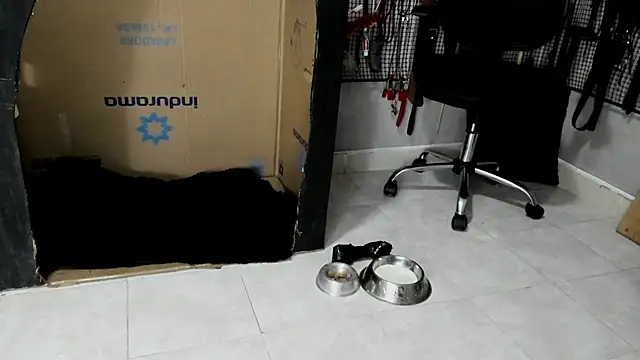 Snapshot of BDSM_MEDUZA chatting on February 23, 2026, 3:30 am BDSM MEDUZA online show from February 23, 2026, 3:30 am