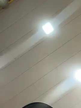 Noamilk online show from February 13, 2026, 8:31 pm