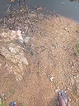 AgitatedStrip9 online show from March 19, 2026, 2:33 am