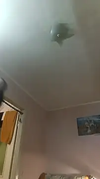 Snapshot of Adidas7217 chatting on January 10, 2026, 2:51 am Adidas7217 online show from January 10, 2026, 2:51 am