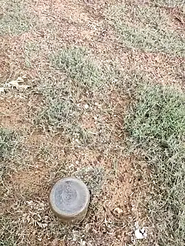 telugumodda4396 online show from October 5, 2025, 2:02 am