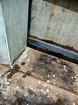 telugumodda4396 online show from October 2, 2025, 11:19 pm