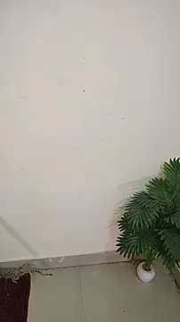 hotestfantasy online show from April 8, 2026, 10:28 am