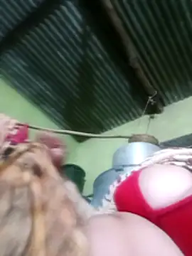 Haliya88 online show from December 19, 2025, 3:14 pm