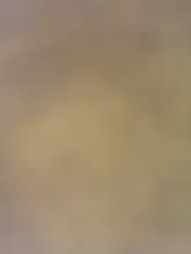 Snapshot of charlotteemerson123 chatting on November 29, 2025, 3:12 pm charlotteemerson123 online show from November 29, 2025, 3:12 pm