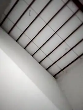 Yakpatiya7788 online show from October 26, 2025, 5:57 pm