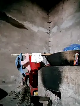 Snapshot of xuxulovezz chatting on February 12, 2026, 4:45 am xuxulovezz online show from February 12, 2026, 4:45 am