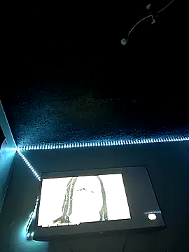 Snapshot of Painstickwes chatting on February 5, 2026, 9:54 pm Painstickwes online show from February 5, 2026, 9:54 pm