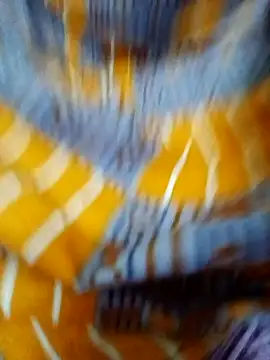 tamil Boomika online show from December 23, 2025, 12:11 am