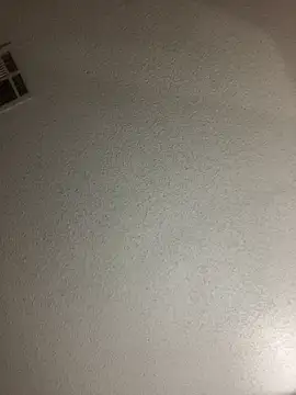 BuzzBunni69 online show from October 26, 2025, 4:57 am