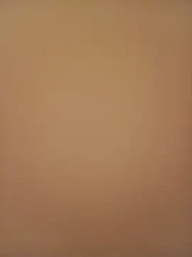 Sali ji online show from February 21, 2026, 1:07 am