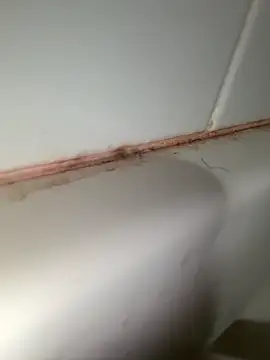 StroknGoon69 online show from November 4, 2025, 11:52 pm