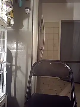 Curious9884 online show from October 2, 2025, 12:36 am